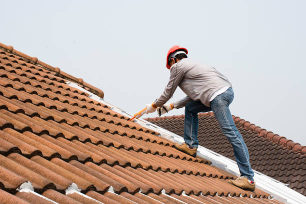 Best Storm Damage Roof Repair  in Glen Raven, NC